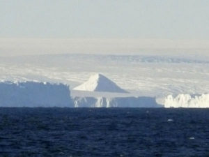 南極の人口ピラミッド